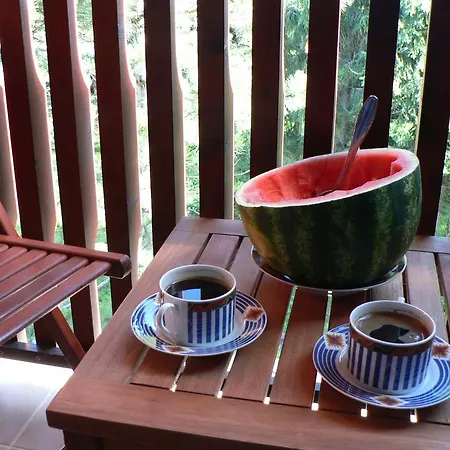 Sneznik ズラティボール