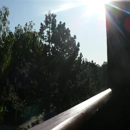 Sneznik アパート