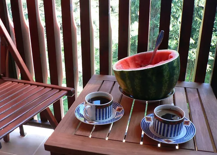 Sneznik 즐라티보